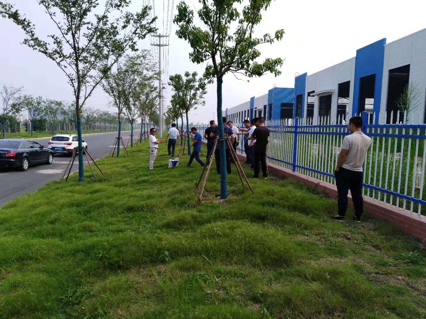 滁州高新區(qū)道路綠化工程1標段}